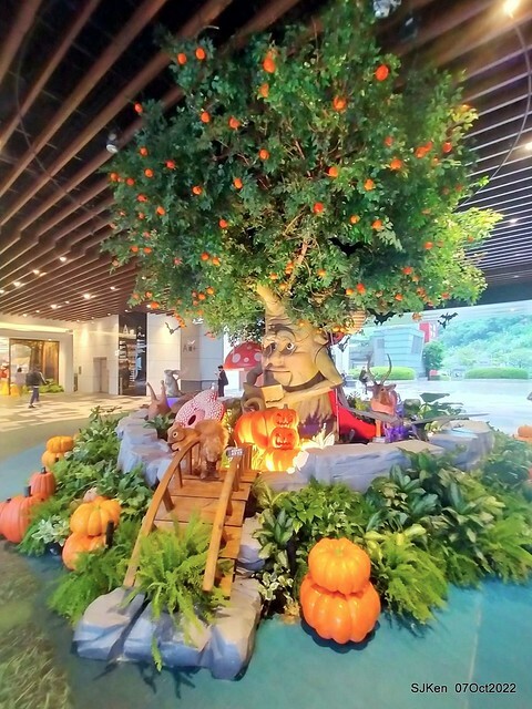 10-309859096_5775121775878913_9050810075724799061_n