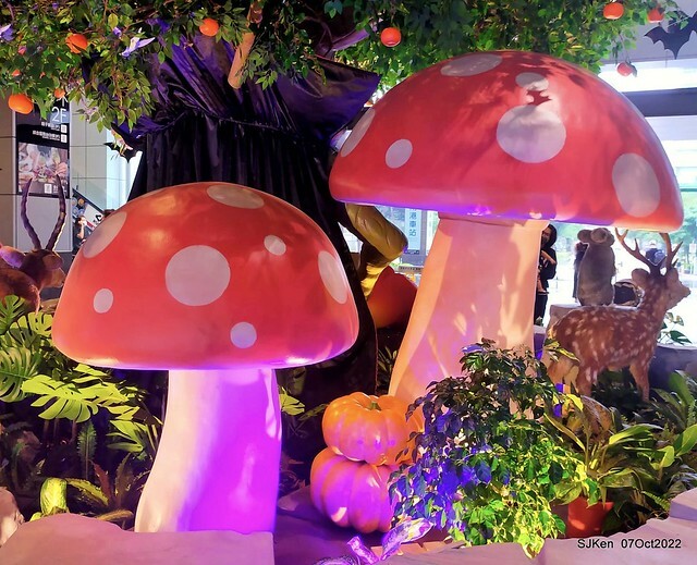 05-309988586_5775219345869156_8648562490981016496_n