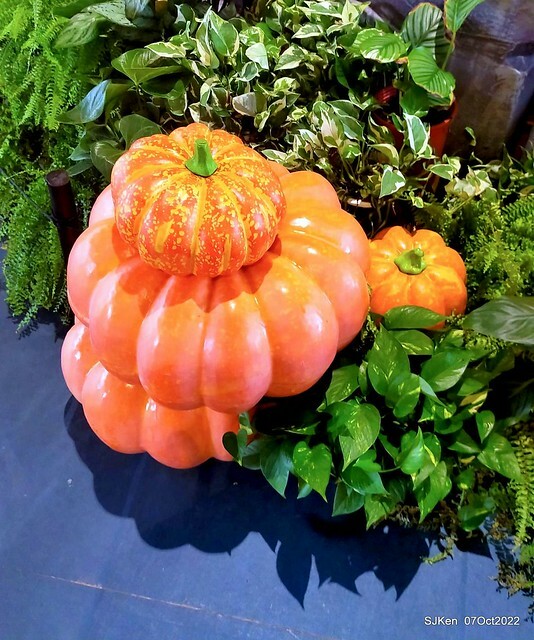 27-309912555_5775233725867718_4581645847916858542_n