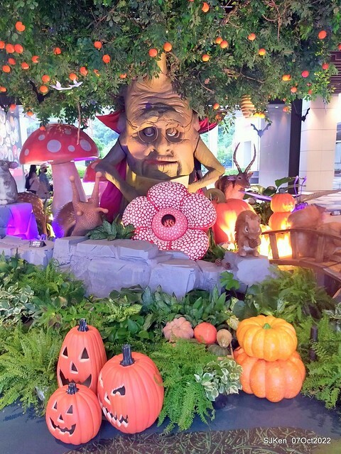 20-309818055_5775127349211689_4931122711618083915_n