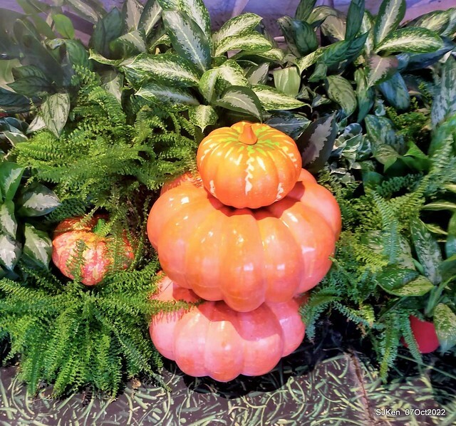 28-309829909_5775208225870268_8927024318415749874_n