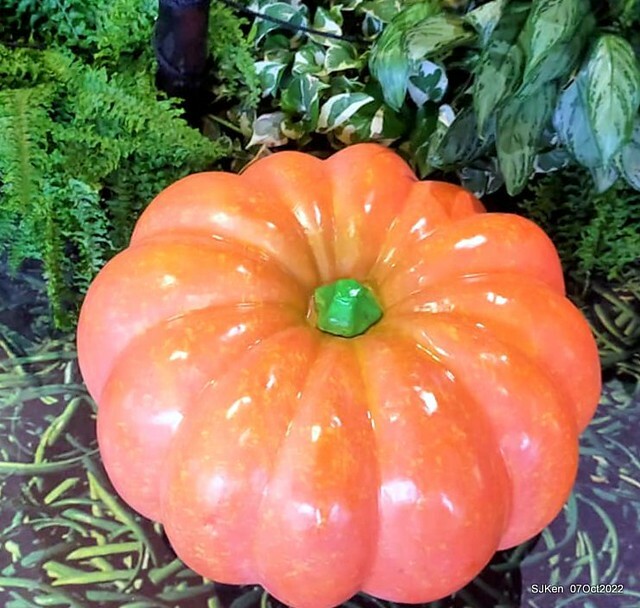 30-310668660_5775117662545991_6823677466268795300_n