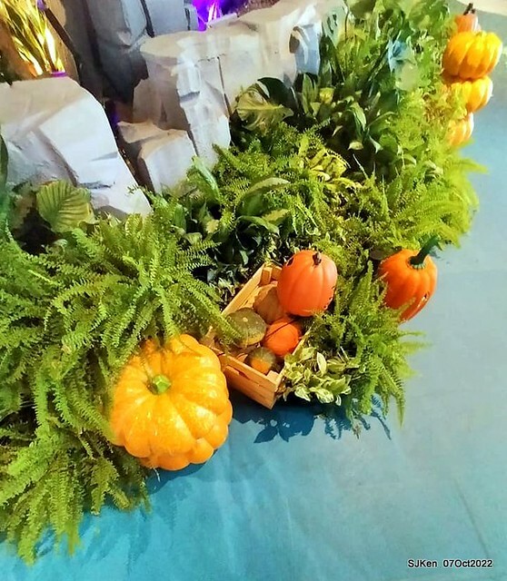 14-310733876_5775118352545922_6731286003620062965_n