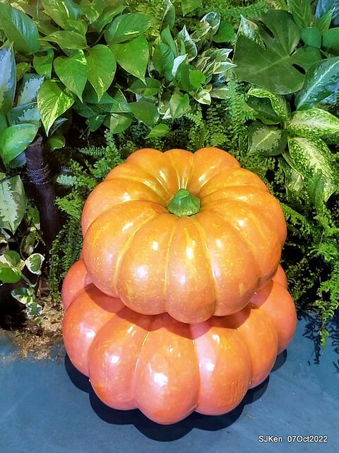 29-310439418_5775116449212779_5370645637289666995_n