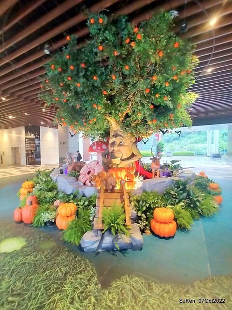 04-309830988_5775120062545751_9213540359624380904_n