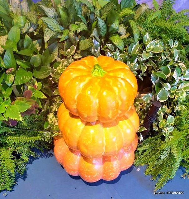 25-311140302_5775118909212533_3359993607465479349_n