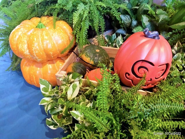 17-309844837_5775249002532857_2818919369717073101_n