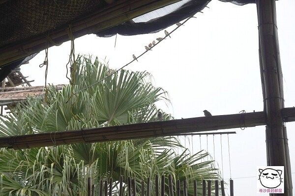 220924HUALIEN124.jpg 220924HUALIEN124.jpg