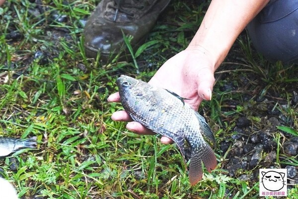 220924HUALIEN195.jpg 220924HUALIEN195.jpg