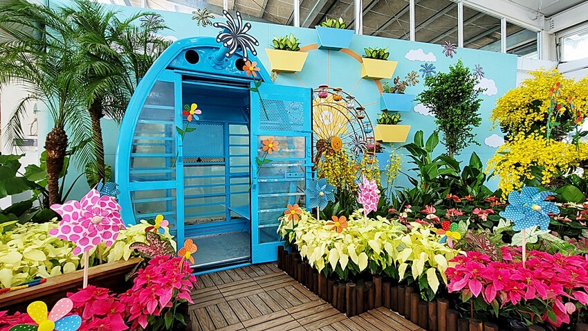 2022埔里花卉展強勢登場!波波草迷宮打卡必拍,以在地花卉結合兒童樂園為主題,假日市集、多肉DIY,不只是網美必拍,親子玩翻!