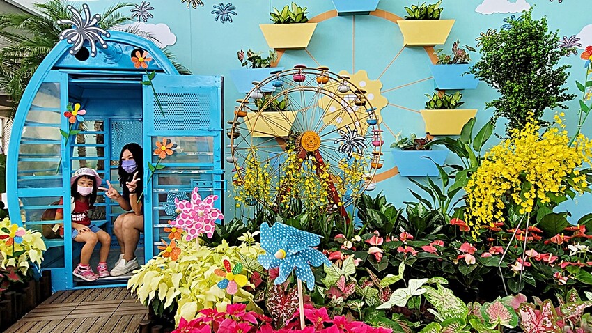 2022埔里花卉展強勢登場!波波草迷宮打卡必拍,以在地花卉結合兒童樂園為主題,假日市集、多肉DIY,不只是網美必拍,親子玩翻!