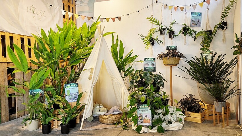 2022埔里花卉展強勢登場!波波草迷宮打卡必拍,以在地花卉結合兒童樂園為主題,假日市集、多肉DIY,不只是網美必拍,親子玩翻!