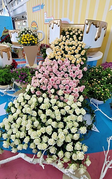 2022埔里花卉展強勢登場!波波草迷宮打卡必拍,以在地花卉結合兒童樂園為主題,假日市集、多肉DIY,不只是網美必拍,親子玩翻!