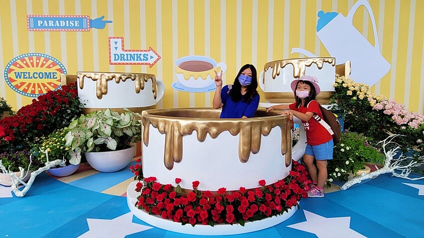 2022埔里花卉展強勢登場!波波草迷宮打卡必拍,以在地花卉結合兒童樂園為主題,假日市集、多肉DIY,不只是網美必拍,親子玩翻!