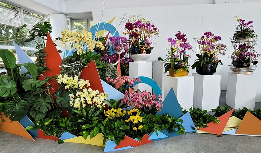 2022埔里花卉展強勢登場!波波草迷宮打卡必拍,以在地花卉結合兒童樂園為主題,假日市集、多肉DIY,不只是網美必拍,親子玩翻!