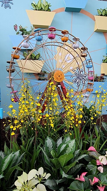 2022埔里花卉展強勢登場!波波草迷宮打卡必拍,以在地花卉結合兒童樂園為主題,假日市集、多肉DIY,不只是網美必拍,親子玩翻!