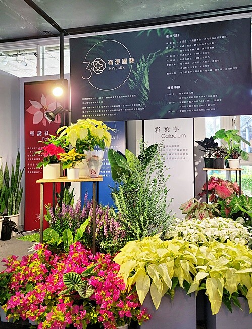 2022埔里花卉展強勢登場!波波草迷宮打卡必拍,以在地花卉結合兒童樂園為主題,假日市集、多肉DIY,不只是網美必拍,親子玩翻!