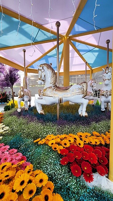 2022埔里花卉展強勢登場!波波草迷宮打卡必拍,以在地花卉結合兒童樂園為主題,假日市集、多肉DIY,不只是網美必拍,親子玩翻!