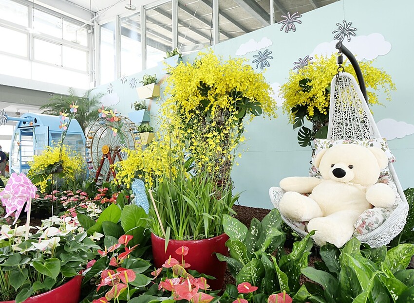 2022埔里花卉展強勢登場!波波草迷宮打卡必拍,以在地花卉結合兒童樂園為主題,假日市集、多肉DIY,不只是網美必拍,親子玩翻!