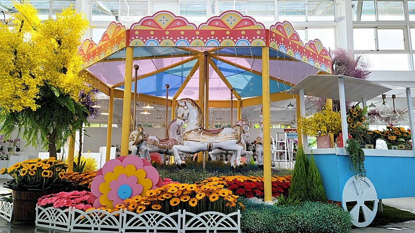 2022埔里花卉展強勢登場!波波草迷宮打卡必拍,以在地花卉結合兒童樂園為主題,假日市集、多肉DIY,不只是網美必拍,親子玩翻!