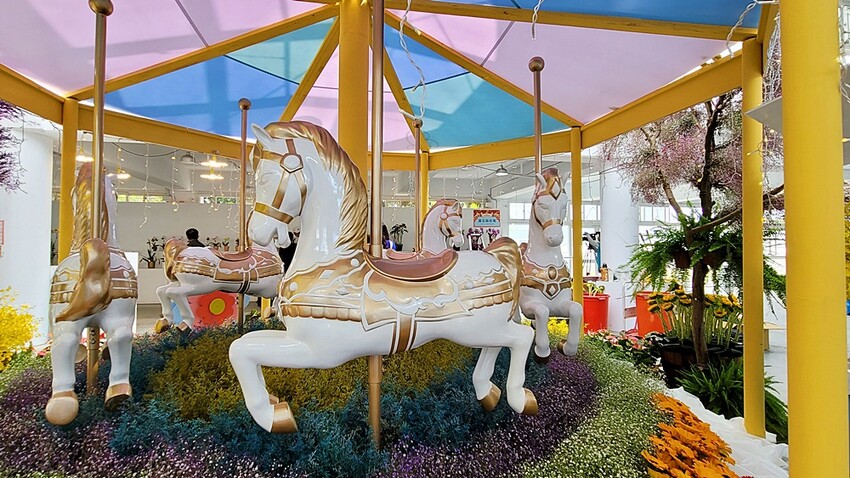 2022埔里花卉展強勢登場!波波草迷宮打卡必拍,以在地花卉結合兒童樂園為主題,假日市集、多肉DIY,不只是網美必拍,親子玩翻!