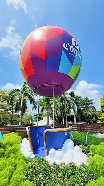 2022埔里花卉展強勢登場!波波草迷宮打卡必拍,以在地花卉結合兒童樂園為主題,假日市集、多肉DIY,不只是網美必拍,親子玩翻!