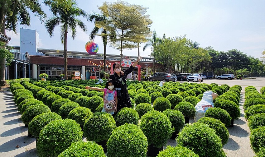 2022埔里花卉展強勢登場!波波草迷宮打卡必拍,以在地花卉結合兒童樂園為主題,假日市集、多肉DIY,不只是網美必拍,親子玩翻!