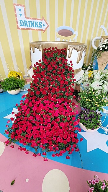 2022埔里花卉展強勢登場!波波草迷宮打卡必拍,以在地花卉結合兒童樂園為主題,假日市集、多肉DIY,不只是網美必拍,親子玩翻!