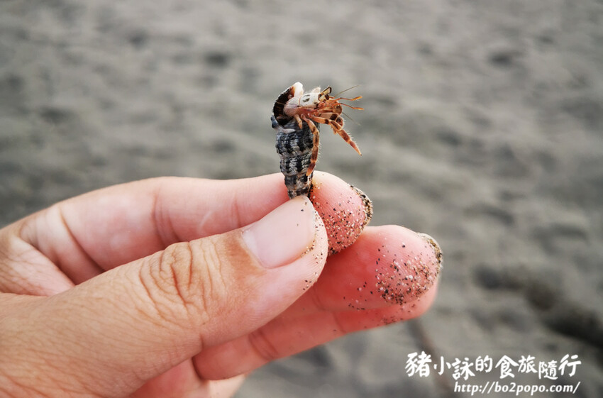 台南。南區》黃金海岸+海岸方舟Gold Coast ARK