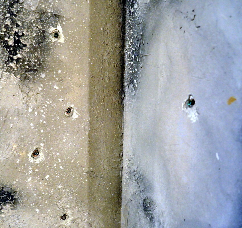 【桃園龍岡】異域故事館．線上預約、免費參觀新景點!