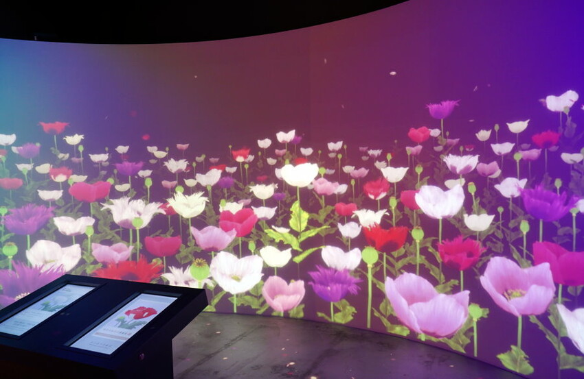 【桃園龍岡】異域故事館．線上預約、免費參觀新景點!