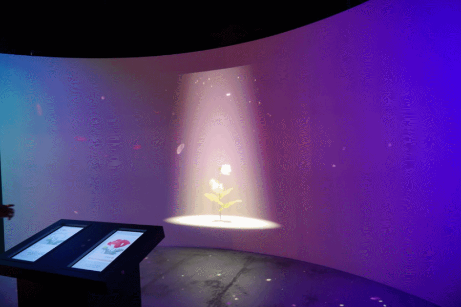 【桃園龍岡】異域故事館．線上預約、免費參觀新景點!