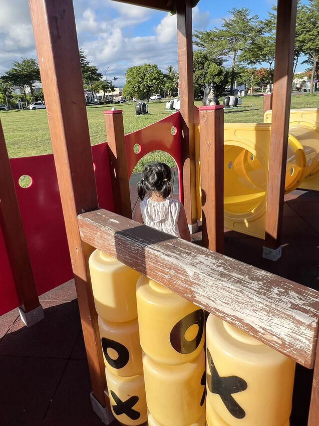 台東|台東兒童公園(生日蛋糕公園)超好玩海盜船溜滑梯!