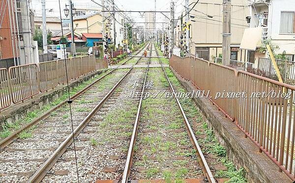 三之輪橋 (2).JPG