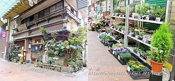 三之輪橋 (10).jpg