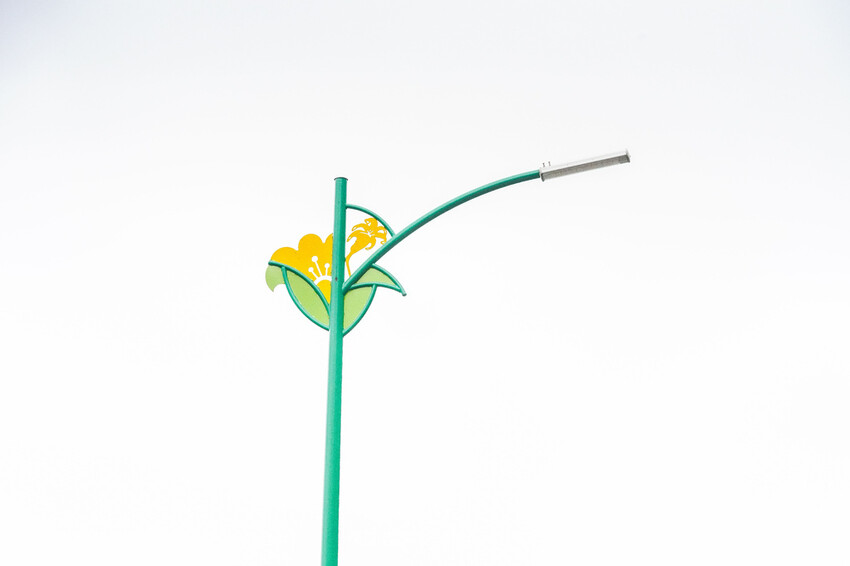 花蓮旅遊 赤柯山 小瑞士農場Ｘ魔王  花蓮景點 霧氣中的金針花也是美到不行 內文有交通資訊