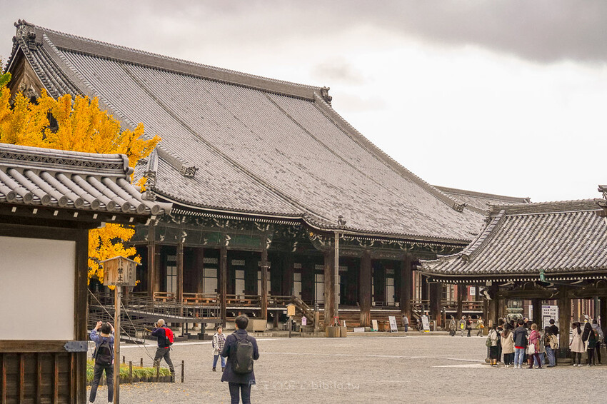 京都銀杏景點 西本願寺 x魔王 京都銀杏名所 免費入場 京都景點推薦