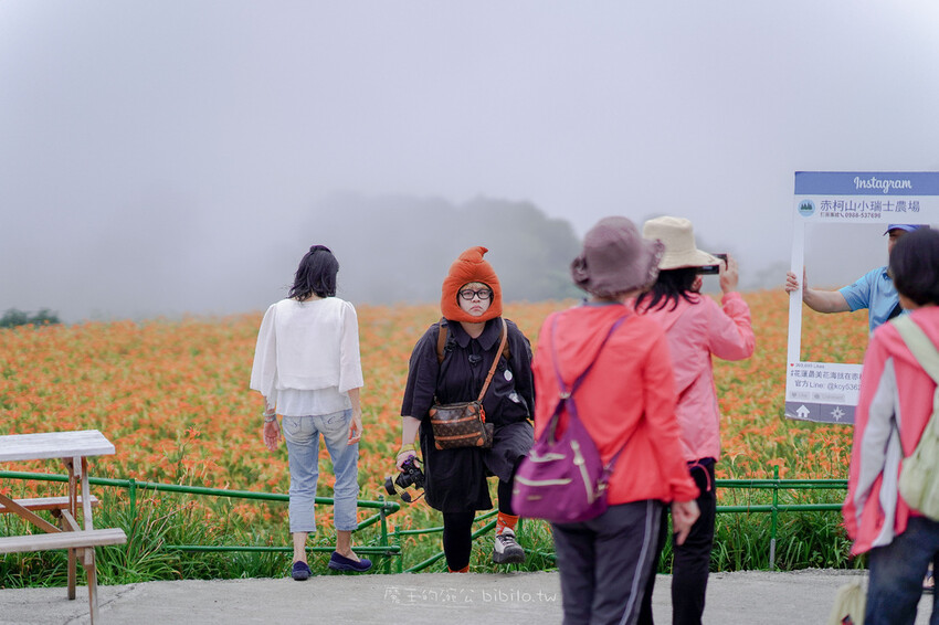 花蓮旅遊 赤柯山 小瑞士農場Ｘ魔王  花蓮景點 霧氣中的金針花也是美到不行 內文有交通資訊