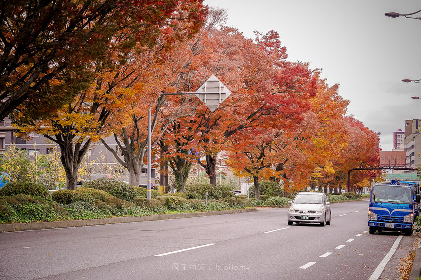 京都銀杏景點 西本願寺 x魔王 京都銀杏名所 免費入場 京都景點推薦