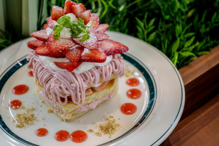京都銀杏景點 西本願寺 x魔王 京都銀杏名所 免費入場 京都景點推薦