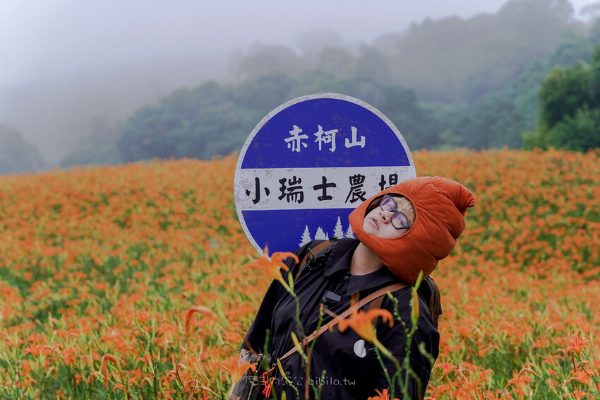花蓮旅遊 赤柯山 小瑞士農場Ｘ魔王  花蓮景點 霧氣中的金針花也是美到不行 內文有交通資訊