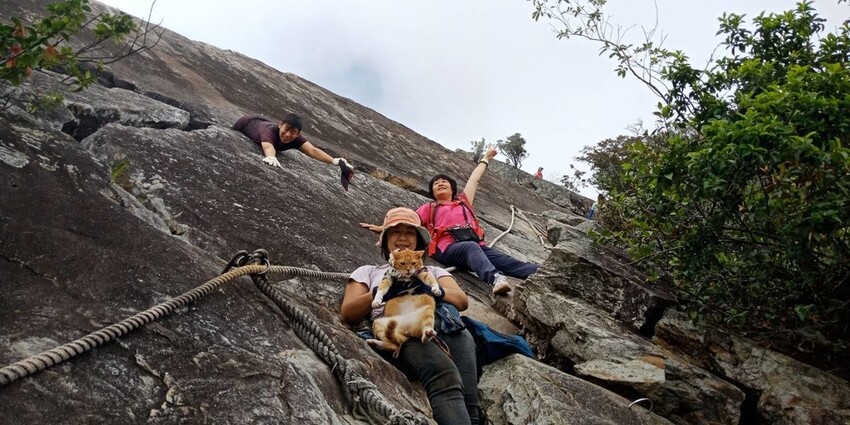 【台中】鳶嘴山+捎來步道。貓咪巴蕊初登鳶嘴山。標高2180中級山。懼高者體驗心得分享