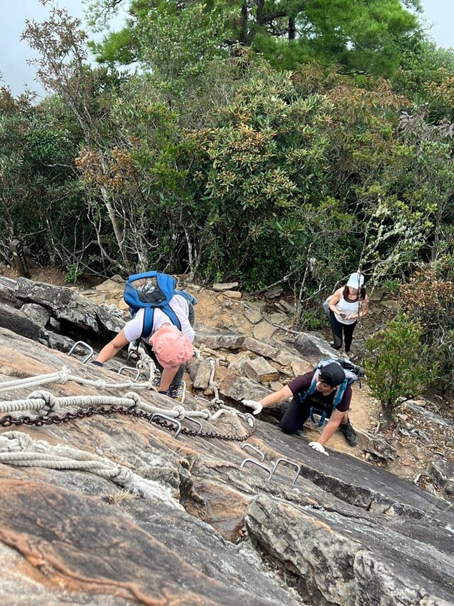 【台中】鳶嘴山+捎來步道。貓咪巴蕊初登鳶嘴山。標高2180中級山。懼高者體驗心得分享