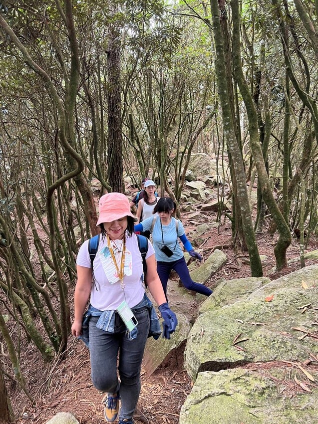 【台中】鳶嘴山+捎來步道。貓咪巴蕊初登鳶嘴山。標高2180中級山。懼高者體驗心得分享