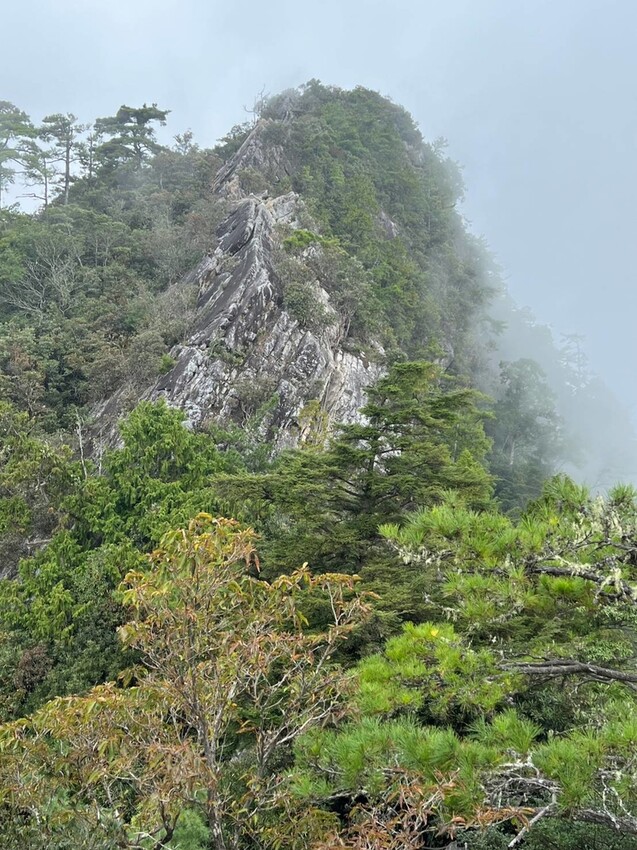 【台中】鳶嘴山+捎來步道。貓咪巴蕊初登鳶嘴山。標高2180中級山。懼高者體驗心得分享
