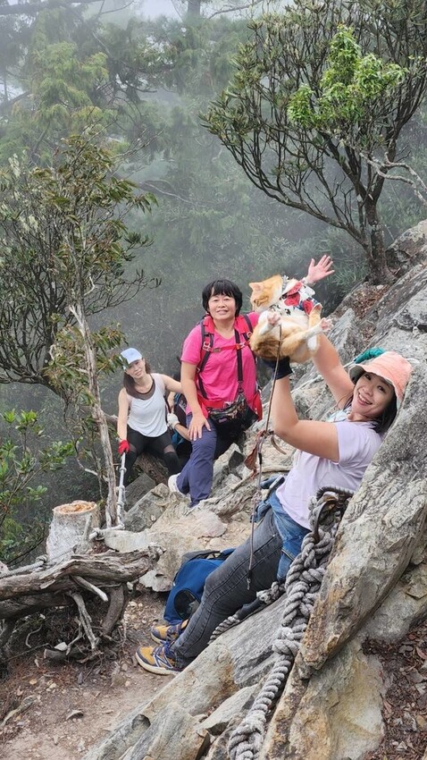 【台中】鳶嘴山+捎來步道。貓咪巴蕊初登鳶嘴山。標高2180中級山。懼高者體驗心得分享