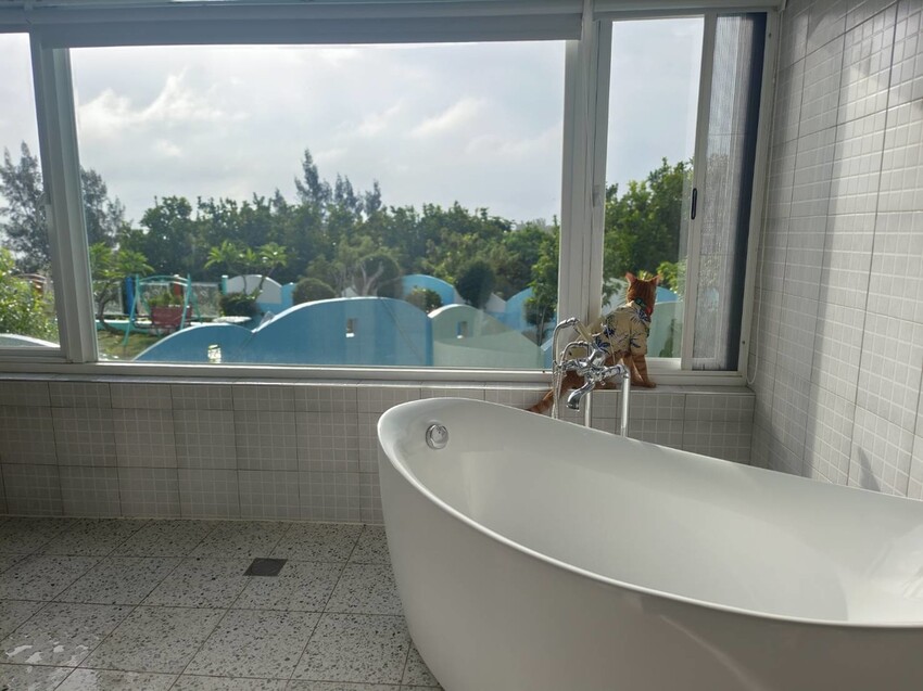 363949.jpg - 【屏東.小琉球】寵物友善住宿推薦。琉球粉舍海景民宿。有網美泳池可看海。樓中樓房型+陽台看海+超大浴缸