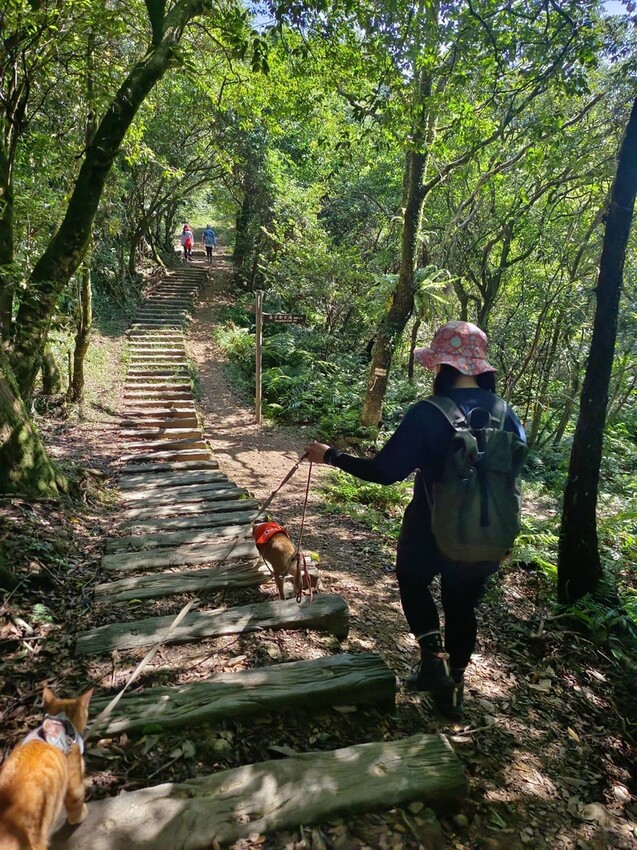 【基隆】姜子寮步道。小百岳no.11。山頂360度環景超美的+義美石頭火鍋