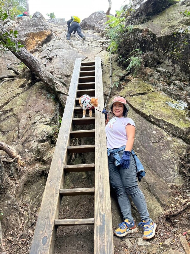【台中】鳶嘴山+捎來步道。貓咪巴蕊初登鳶嘴山。標高2180中級山。懼高者體驗心得分享
