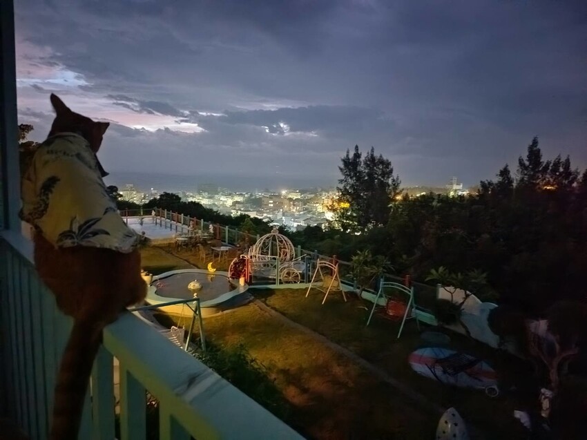 363824.jpg - 【屏東.小琉球】寵物友善住宿推薦。琉球粉舍海景民宿。有網美泳池可看海。樓中樓房型+陽台看海+超大浴缸